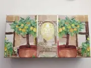 Saponificio Artigianale Florentino Lemon House Limone Luxury Soap 3x Bar