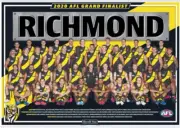 Richmond tigers AFL football premiers team photo,,Geelong cats, Sydney swans 1