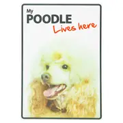 Magnet & Steel Poodle Lives Here
