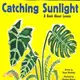 Catching Sunlight ─ A Book About Leaves