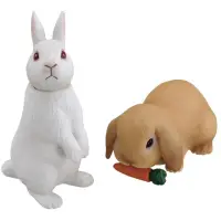 在飛比找momo購物網優惠-【TAKARA TOMY】ANIA 多美動物 AS-34 兔