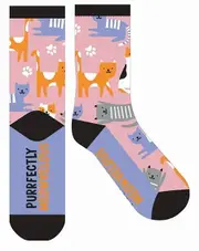 Frankly Funny Novelty Socks One Size Fits Most - Purrfectly Meowvelous, EJF E10207
