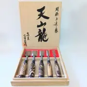 Koyamaichi Tenzanryu Chasing Chisel Set of 5 Dragon Engraving Made in Japan