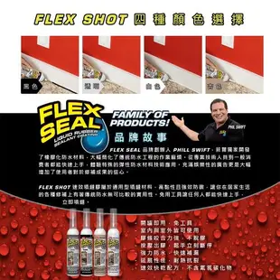 美國FLEX SHOT速效填縫膠（亮黑色／附噴嘴）