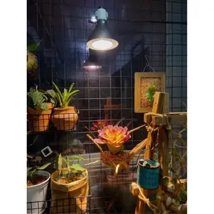 植物燈 植物生長燈 專業金鹵補光燈 美國進口飛利浦philips燈泡70w💡植物、動物補光燈