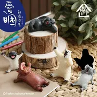 在飛比找樂天市場購物網優惠-Toy Friend 玩具 ANIMAL LIFE第二彈 朝