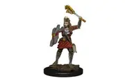 Dungeons & Dragons Icons of the Realms Human Cleric Female Premium Figure 14y+
