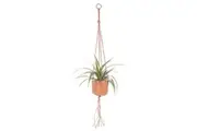 Sass & Belle: Macrame Plant Hanger - Terracotta (Small)