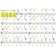 Transparent Colorful Piano Keyboard Stickers Note For 88/61/49/37-Keys Beginner