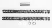 PATRIOT GS-4420 Genisis Fork Springs