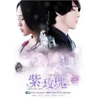 在飛比找蝦皮購物優惠-2009臺劇DVD《紫玫瑰》梁文音/黃騰浩 國語中字 全新盒