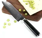 Santoku Knife 67 Layers Damascus Steel Wood Handle Chef Gyuto Beef Slicing Cut L