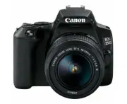 Canon Eos 250d Kit (ef S 18 55mm Dc Iii) Dslr Camera Black