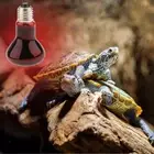 Reptile Turtle Nightlight Infrared Light E27 Base Heat Lamp