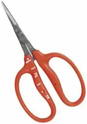 Chikamasa Gardening Grape Vine Grapes Thinning Pruning Scissors Scale Japan