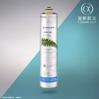 在飛比找蝦皮購物優惠-【澄軒飲水】美國EVERPURE H-104 濾心~【平行輸