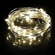 KARSUM USB Powered String Lights,LED Silver Wire Micro Fairy Lights,5M/16.4Ft 50 Twinkle Lights for Indoor Bedroom Garden Party Wedding Christmas Party Decoration (5M/16 Ft., Warm White)