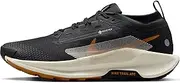 [Nike] Men's Pegasus Trail 5 Gore-Tex Trainers