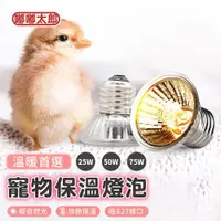 在飛比找ETMall東森購物網優惠-【嘟嘟太郎】寵物保溫燈泡(25W/50W/75W)