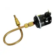 Raypak Pressure Switch 003651F