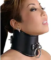 Strict Leather Locking Posture Collar, Medium
