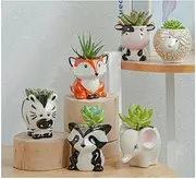 AIWFL Succulents Pots Indoor Plant Pot 6Pcs, Cartoon Mini Pots Ceramic Animal Flower Pot Cactus Succulents Plants Bonsai Pots Decor