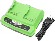SUNELL Battery Replacement for GreenWorks Part Number: 24V Charger 2 Slots 2 Amp, 29322, 29807, 20362 Chainsaw, 20-Inch Cordless Pole Hedge Tr, 2100007, 2100107, 2200007, 2200107