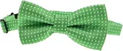 [Baluue] Patrick's Day Adjustable Bow Tie for Soft Pre Tied Neck Bowtie for Boys and Party Accessory for Holiday Celebrations
