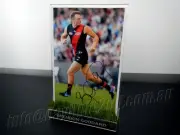✺Signed & Framed✺ BRENDON GODDARD Photo PROOF COA Essendon Bombers AFL