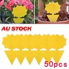 50 pcs Sticky Fruit Fly Traps, Fungus Gnat Killer Trap use for Indoor Outdoor AU
