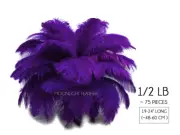 1/2 Lb. - 19-24" Purple Ostrich Large Wholesale Feathers Centerpiece Mardi Gras
