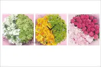 在飛比找Yahoo!奇摩拍賣優惠-KIPO-橫三聯式  日式風格  花團錦簇  餐廳布置  花