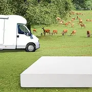 EGO White 10 Inch Short King Memory Foam RV Mattress, Cooling Gel Green Tea Mattress for RVs, Campers & Trailers, Bed in a Box, Made in USA, CertiPUR-US Certified, 72"×75", Medium Firm