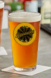 Steppenwolf - Rock and Roll - 16oz Pint Beer Glass Barware Seltzer Liquor Tea 25
