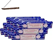 Satya Nag Champa Incense Sticks Set of 15g x 12 Packs Total 180g with Free Incense Holder. 100% Original Handrolled Masala | Satya Incense BNG | for Stress Relief, Meditation Decor (Nag Champa)