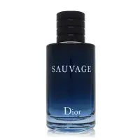 在飛比找Yahoo奇摩購物中心優惠-Dior 迪奧 Sauvage 曠野之心淡香水 EDT 10