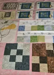Lot Of 10 Vintage Sampler Quilt Blocks Patterns & Orphan Blocks Mixed Patterns