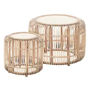 Cooper & Co. Casper Set Of 2 Coffee Tables Natural
