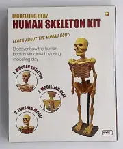 KEYCRAFT MODELLING CLAY HUMAN SKELETON KIT. New in sealed box. Fast shipping