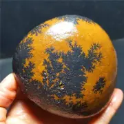 HOT604.7g Natural Gobi tree patterned stone Madagascar 53A12+