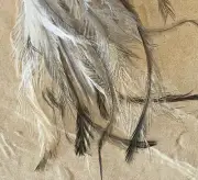 30 EMU Feathers Mixed Body Craft SAMPLE PACK