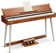 [Donner] DDP-80 PLUS Digital Piano 88 Key Weighted Keyboard, Home Electric Piano, Supports USB-MIDI & Headphones Connection, Semi-open Cover Designed, with Metal Three Pedal, Power Adapter