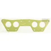 Platinum Extractor Gasket - HSM49