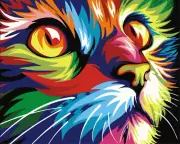 Newsight DIY Oil Painting Paintworks Paint by Number (16" X 20"Color Cat)