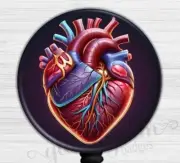 Anatomical Heart Badge Holder, Heart Badge Reel, Medical Heart Retractable 6529