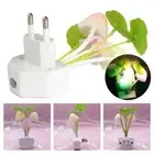Colorful Little Night Light LED Mushroom Night Lights 3D Light For US EU Plug