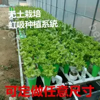 在飛比找蝦皮購物優惠-樂淘淘 魚菜共生虹吸設備陽臺生態免換水生態過濾系統蔬菜鮮花種