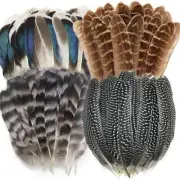 40PCS Natural Feathers Peacock Rooster Goose Guinea Duck Pheasant DIY Craft Xmas