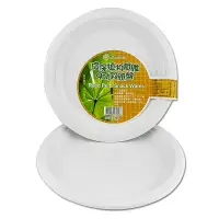 在飛比找蝦皮商城優惠-環保植物纖維紙盤(6/7/8/9吋/橢圓) 環保餐具 免洗餐