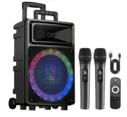 Seenda Karaoke Machine with 2 Wireless Microphones, Bluetooth Speaker, and...